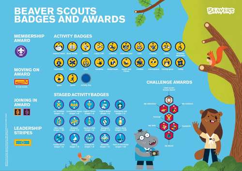 beavers_badge_poster